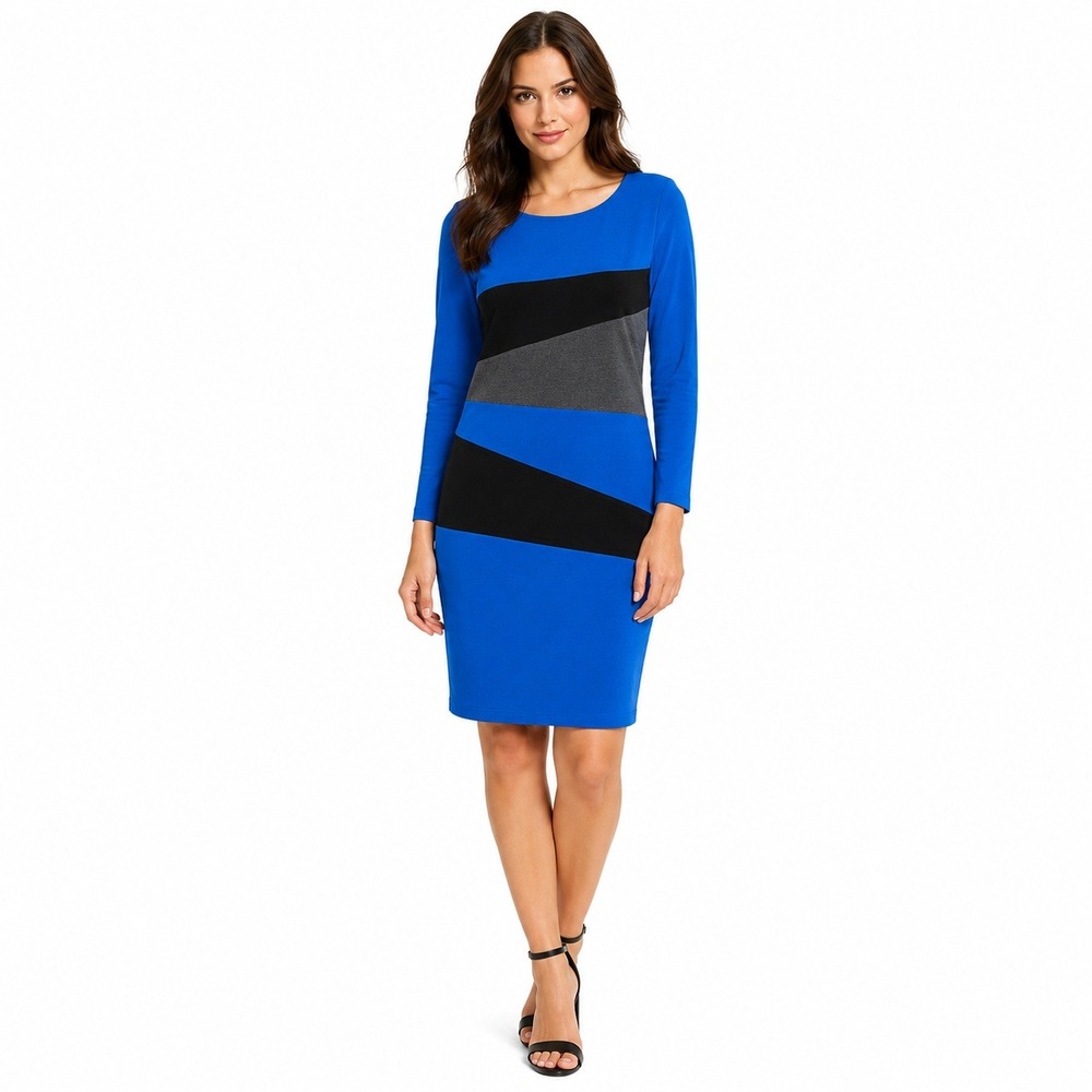 Carlisle Sheath Dress Women 6 Blue Colorblock Long Sleeve Modern Professional